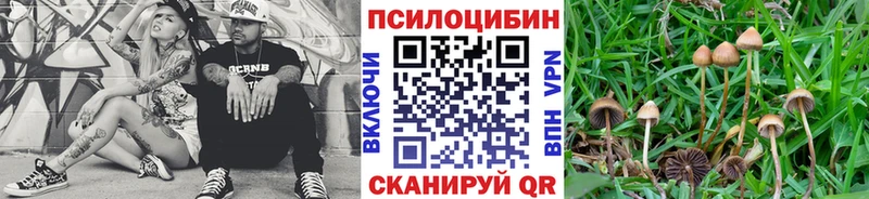 Псилоцибиновые грибы ЛСД купить наркотик Жигулёвск